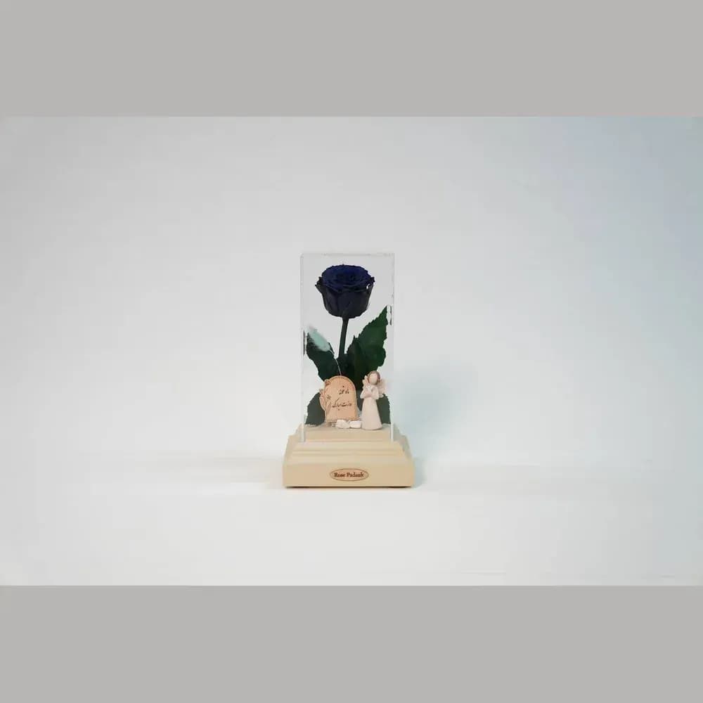 رز جاودان در باکس شیشه‌ای دیبا