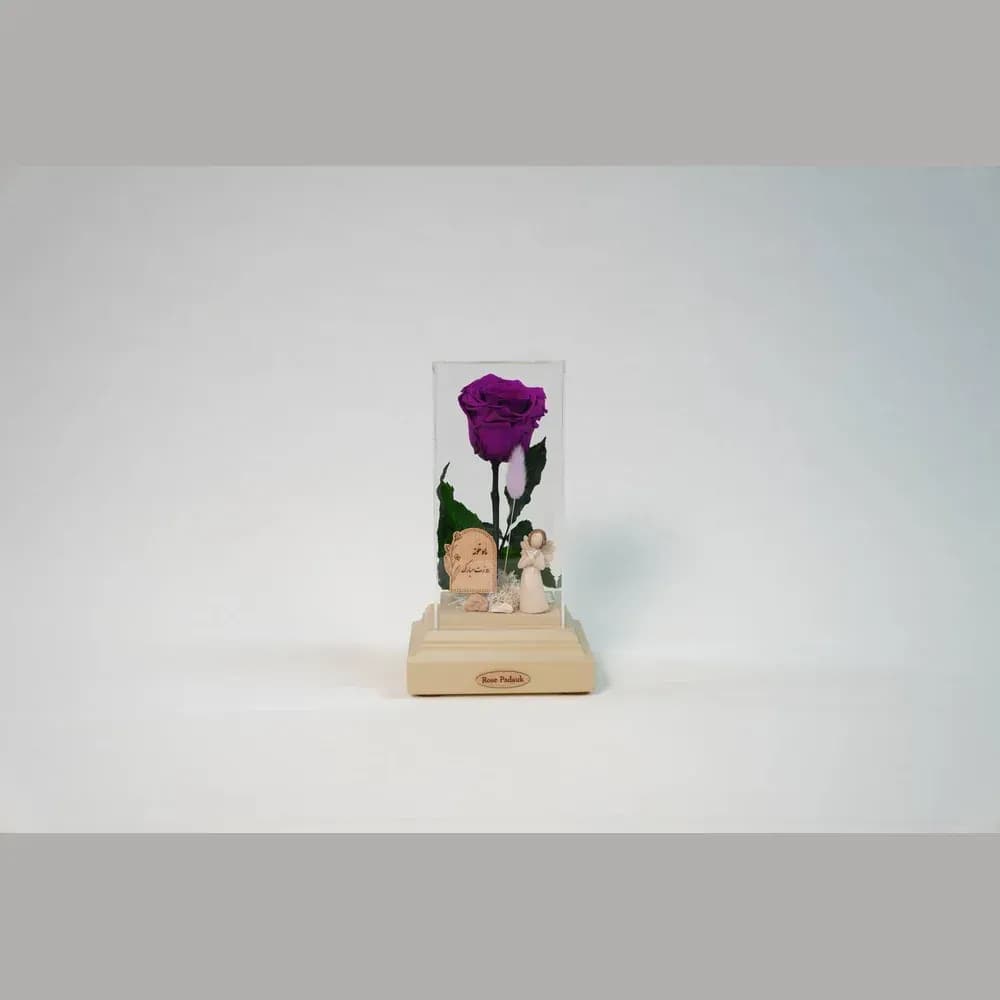 رز جاودان در باکس شیشه‌ای دیبا