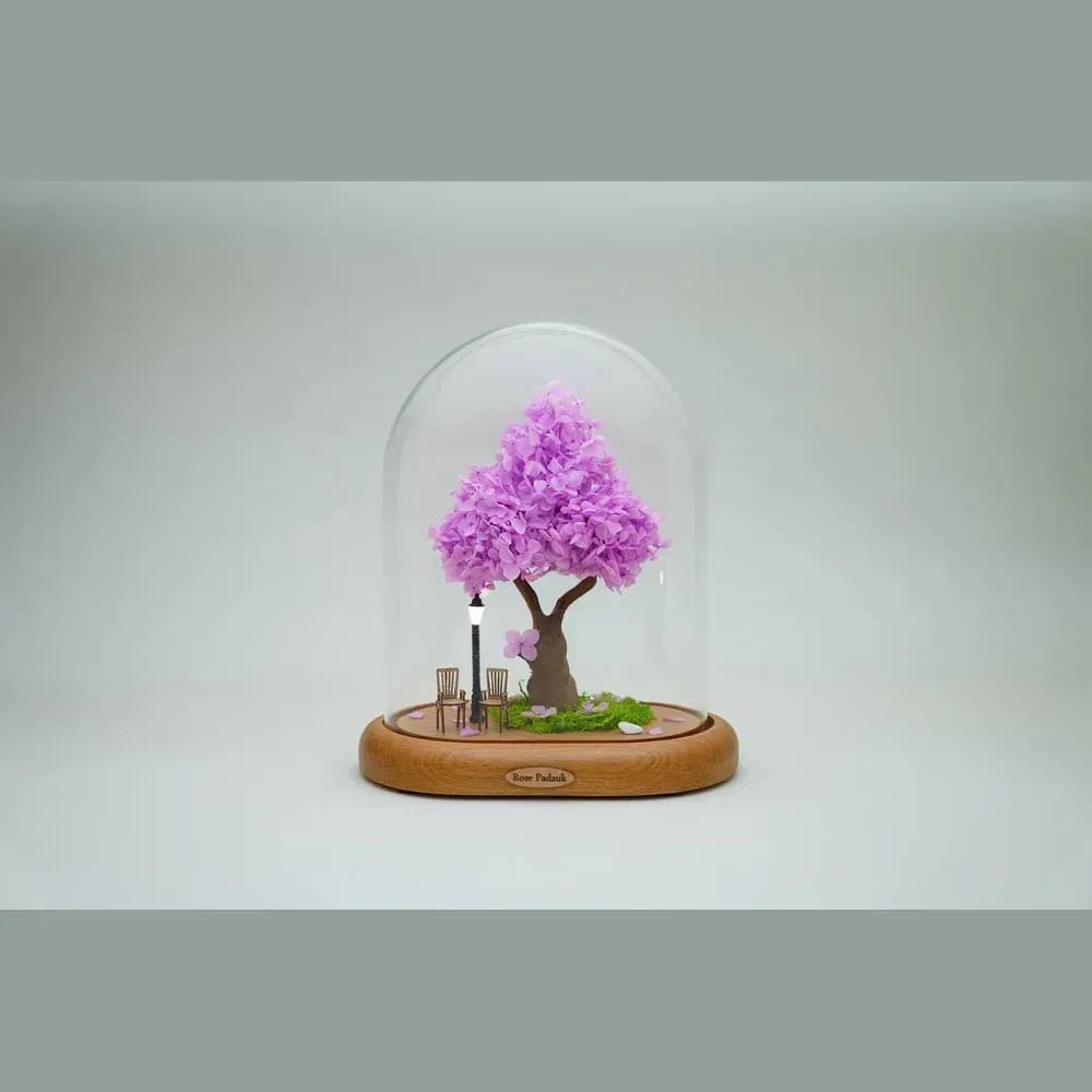 تست نهایی روی پروداکشن بدون کانتنت تایپ