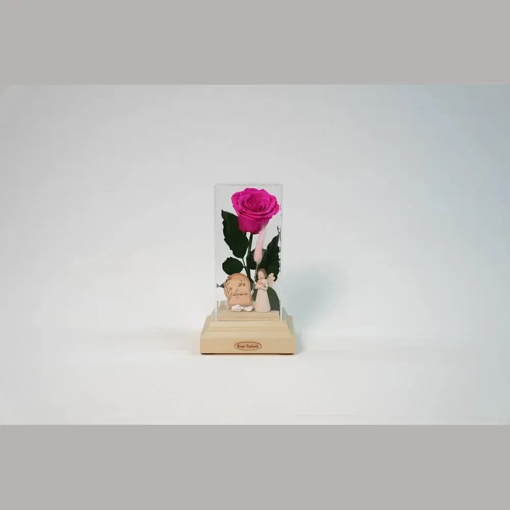 رز جاودان در باکس شیشه‌ای دیبا