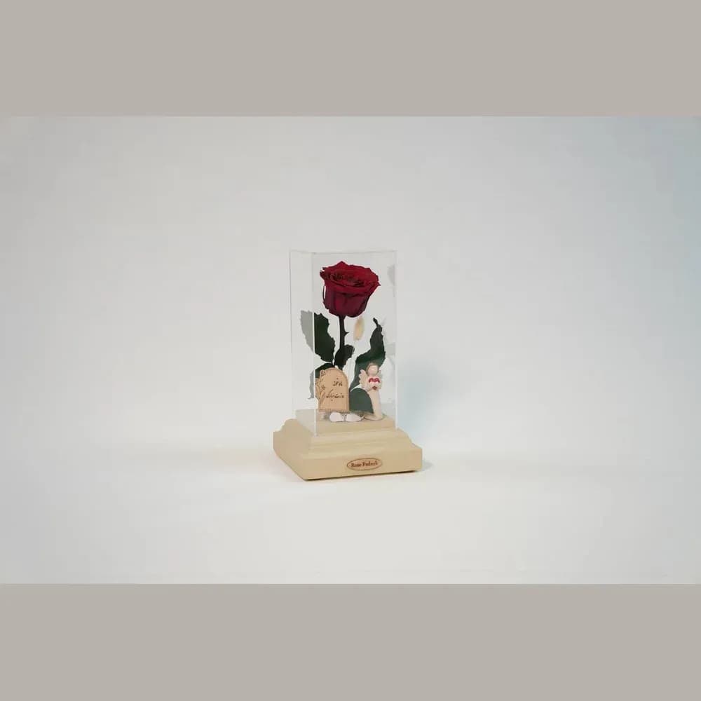 رز جاودان در باکس شیشه‌ای دیبا