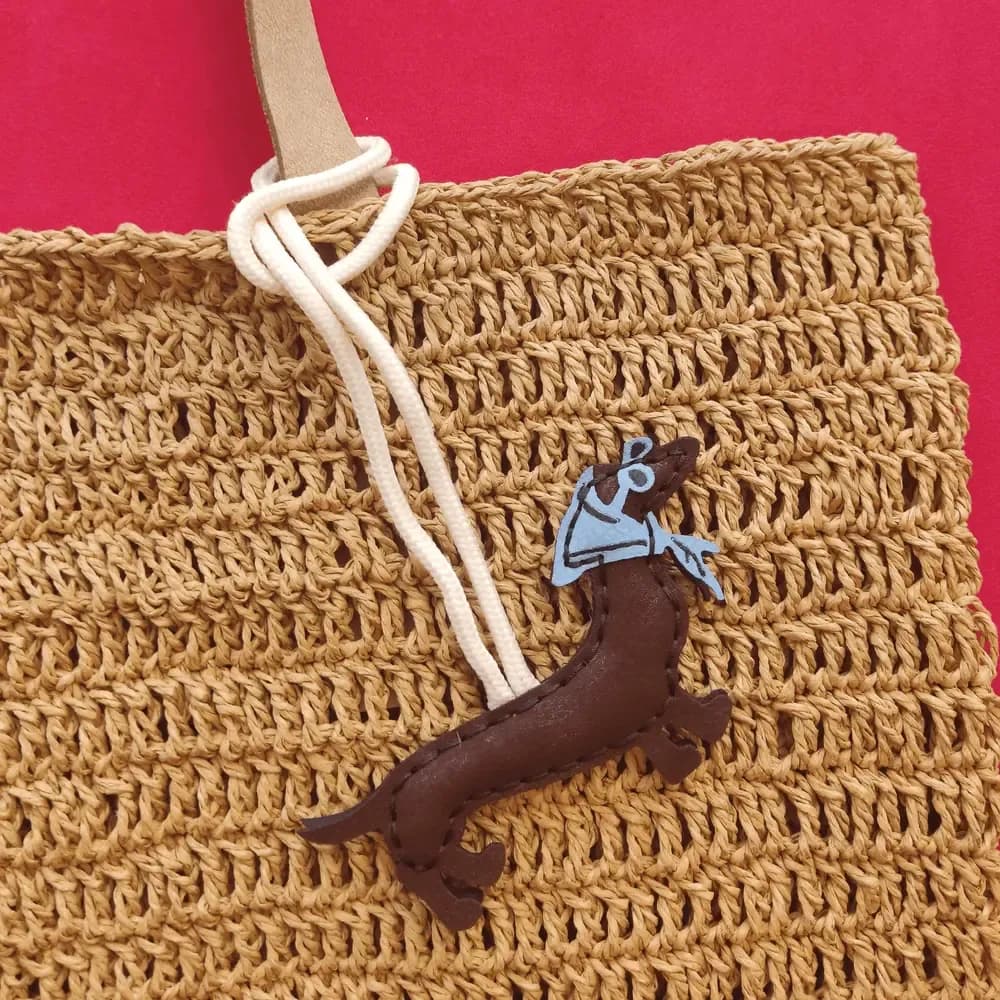 بگ چارم سگ روسری پوش