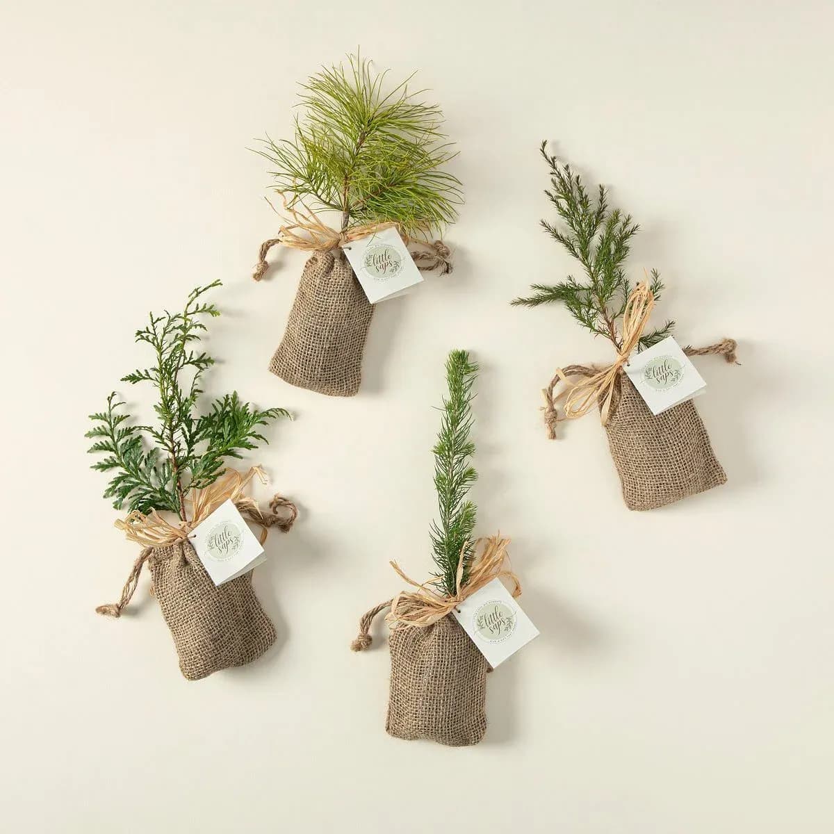 درخت یادبود با کاشت اختصاصی (Plant With Love)